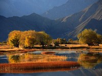 B8：拉薩、珠穆朗瑪峰、古格王朝、神山圣湖20日之旅