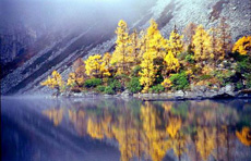 川藏南線成都、稻城、然烏、大峽谷、拉薩12日游