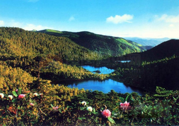 D5：成都、海螺溝、瀘沽湖、麗江、大理11日豪華游