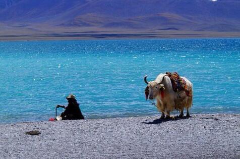 A14：川藏北線丹巴、那木錯、拉薩11日攝影主題線路
