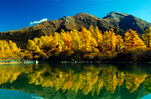 川西金秋成都、九龍、新都橋、稻城亞丁、丹巴9日游