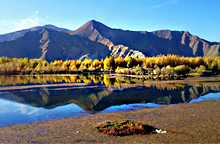 川藏南線：成都、稻城、然烏、大峽谷、拉薩11日游