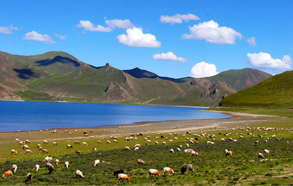 拉薩、亞東、珠峰、日喀則、納木錯9日游