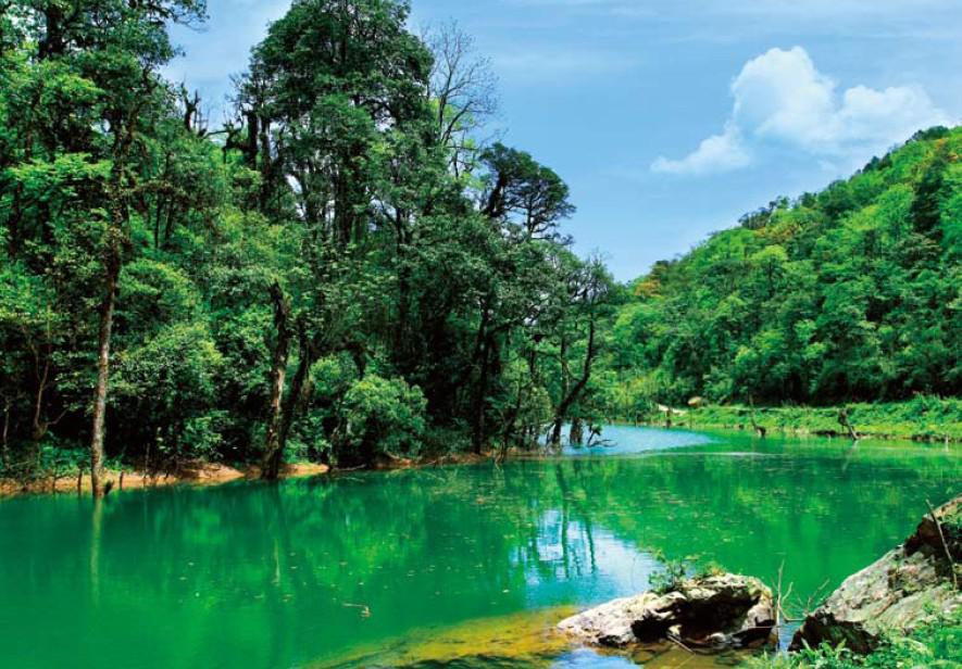 成都租車網(wǎng)薦周末碧峰峽、龍蒼溝二日游