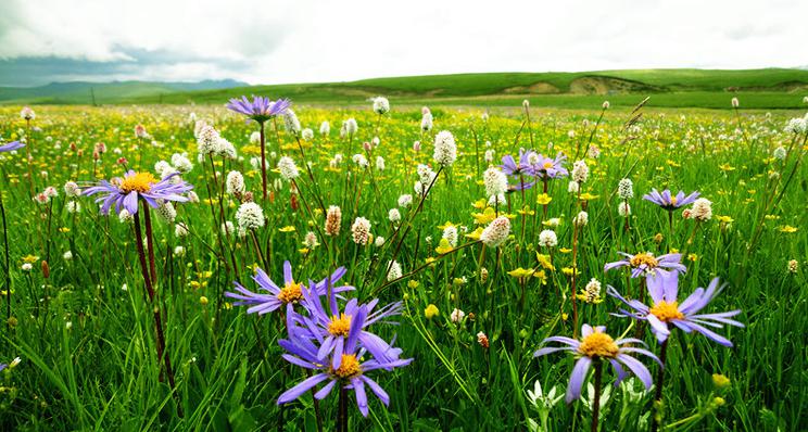 趕在盛夏前 五六月國(guó)內(nèi)最美出游地推薦