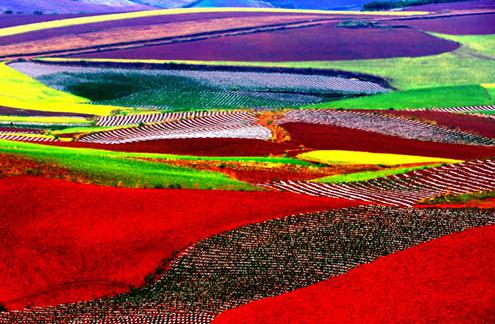 趕在盛夏前 五六月國(guó)內(nèi)最美出游地推薦