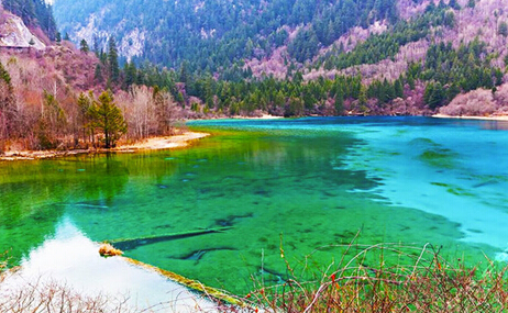 九寨溝 五一小長(zhǎng)假自駕性價(jià)比高的地方