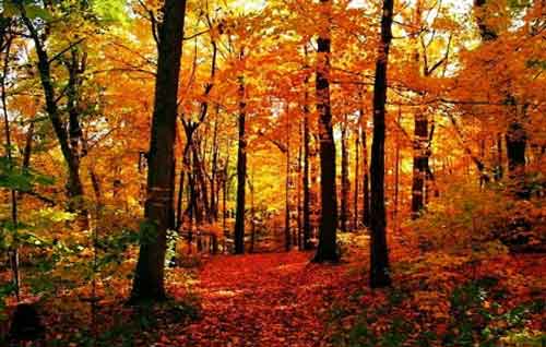 秋游正當時！成都租車旅游選哪一條？