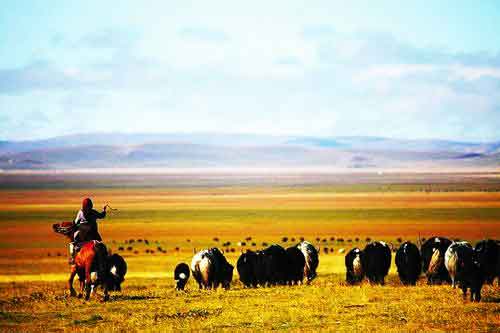 秋游正當時！成都租車旅游選哪一條？